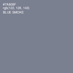 #7A808F - Blue Smoke Color Image